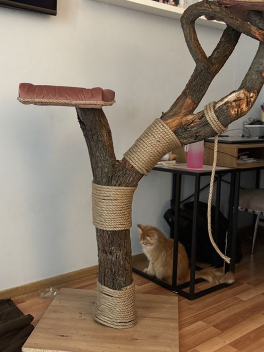 Ansamblu copac pentru pisici