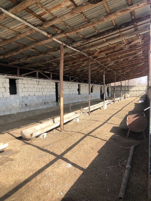 Фазенда Сатылады Откорм Баз