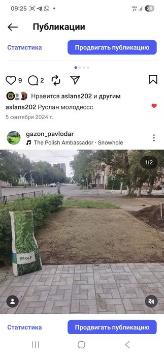 Семена газона , посадка газона