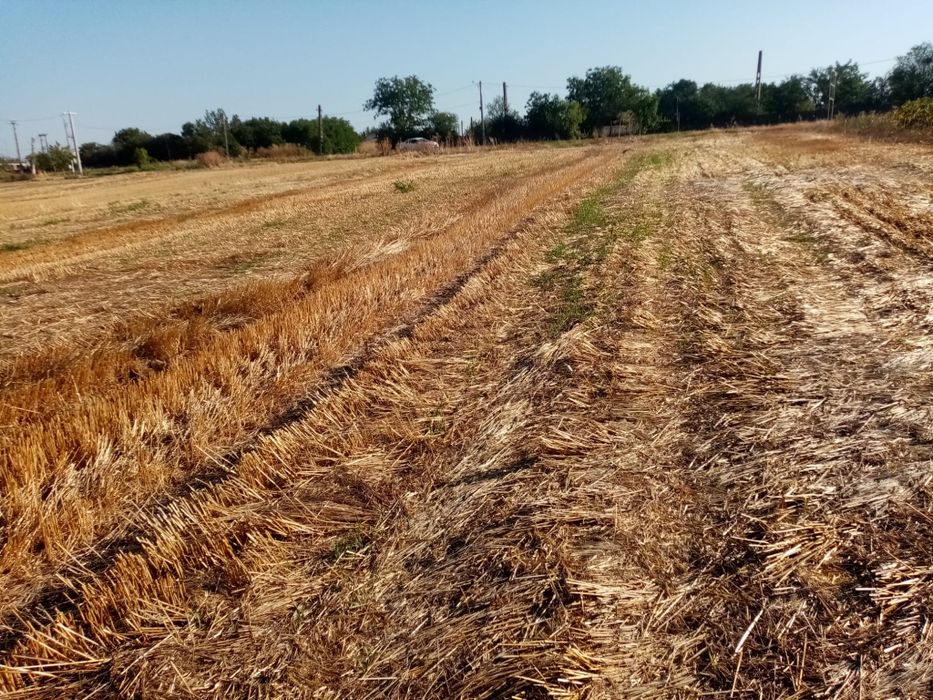 Vând Teren - Zona Giurgiu - Schitu