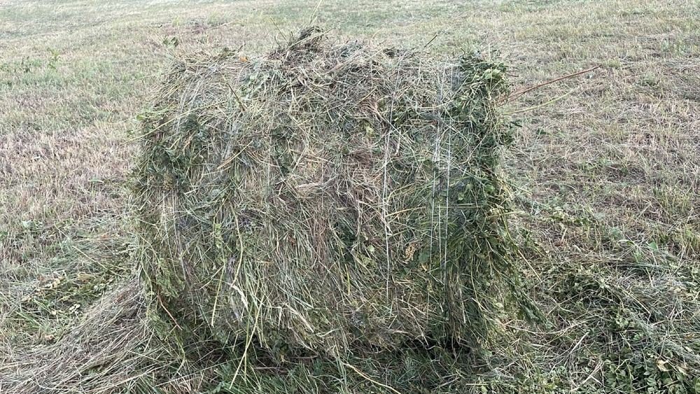 Продам сено в тюках и рулонах