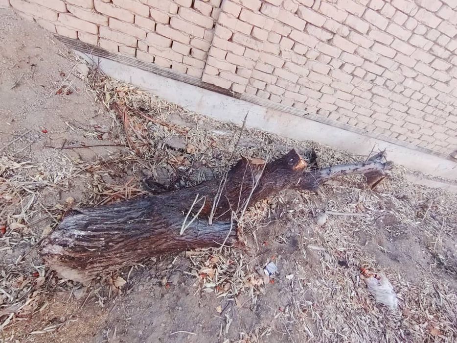 отын сатылады !!!