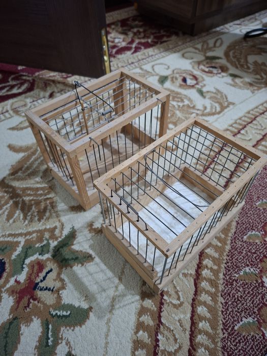 Переноска и ловушка