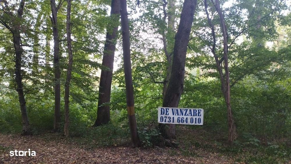 Super Ocazie Teren 4000Mp De Vanzare In Snagov Cu Deschidere La Lacul