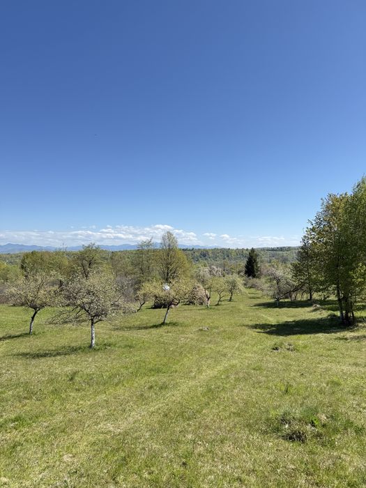 Teren intabulat de vanzare – satul Breb, Maramures