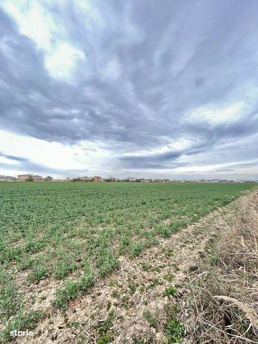 Teren premium 4000 mp – Cartier Grigorescu