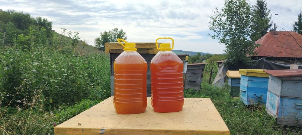 Продам мед г. Алтай(Зыряновск)