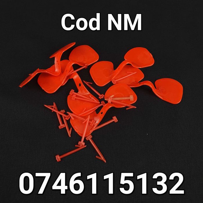 Pasari Fazani Gaini Pauni Cocosi -OCHELARI - NL