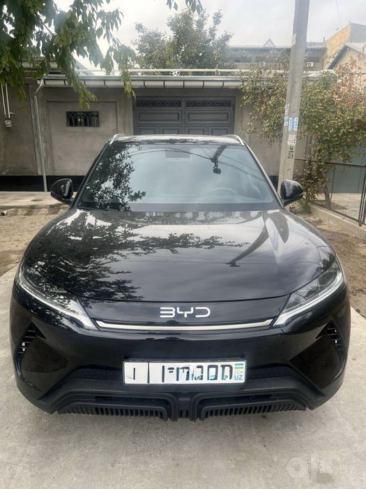 Yuan up qora 2025