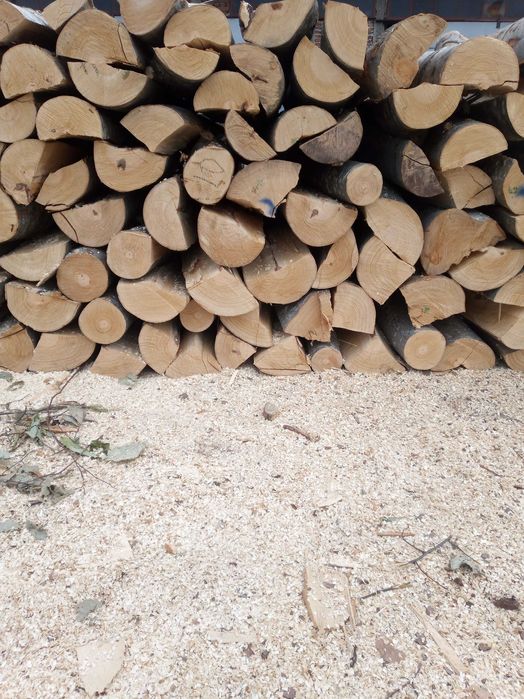 Дърва за огрев - Бук, Дъб, Бор, Трепетлика