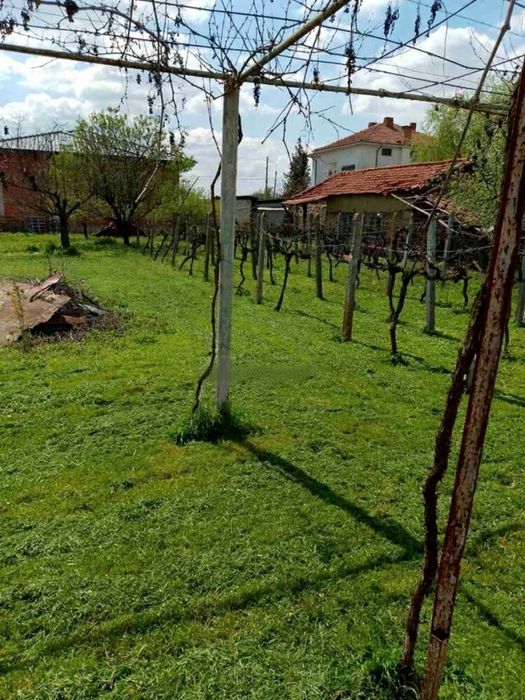 Къща с двор в село Ръжево Конаре, област Пловдив