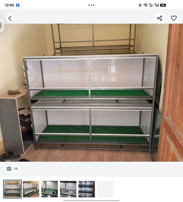 Брудер жўжалар учун,  Bruder jo'jalar uchun