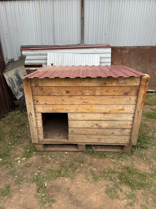 Продам бутку для собаки срочно