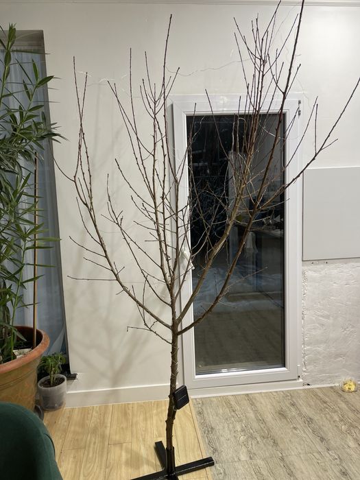 Интельерное Дерево новогоднее