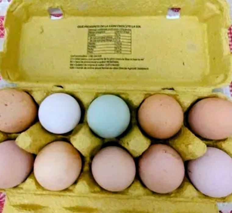 Vând ouă de găină crescute in libertate