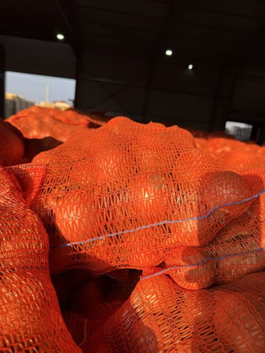 Ceapa 50/70 uscata sac 10 kg