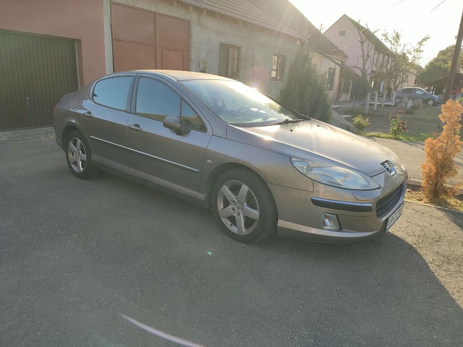 PEUGEOT 407 2005 — imagine 2