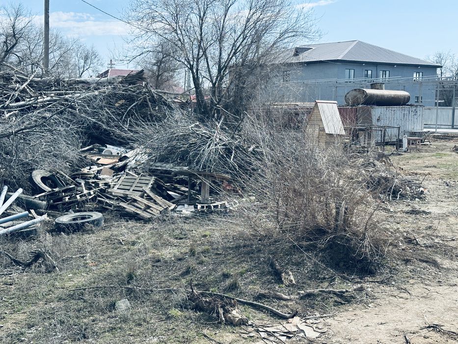 дерево сухой на