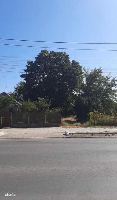 Snagov-Ghermanesti-Teren 2000 mp la sosea - 55 euro/mp