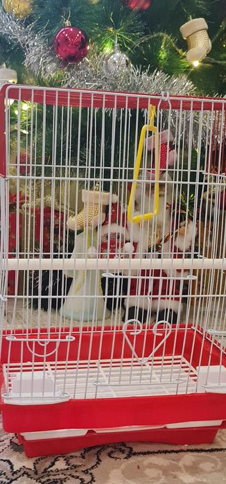 Продам новую клетку.