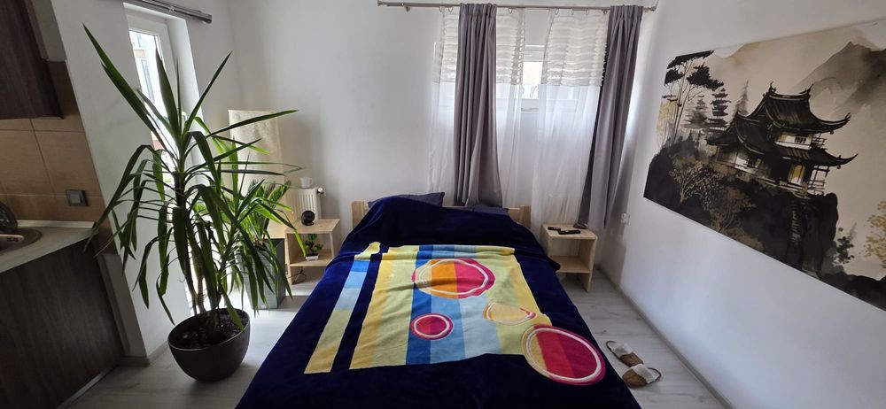 Garsoniera de Vânzare Drumul Taberei