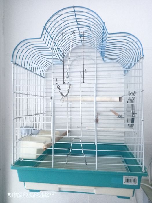 Colivie papagali una mare și una mică la 300lei !