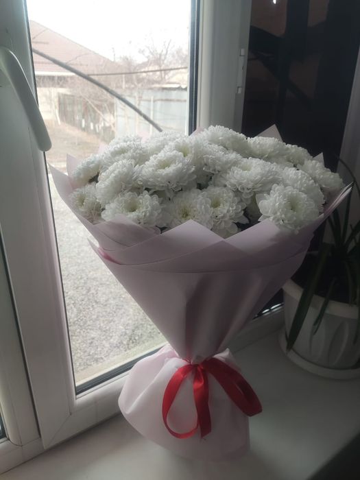 Продам цветы белые