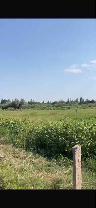 тез арада жер сатылады
