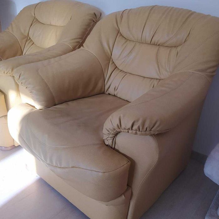 fotolii din piele ecologica - Brasov