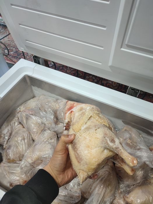 Супавая курица крупная