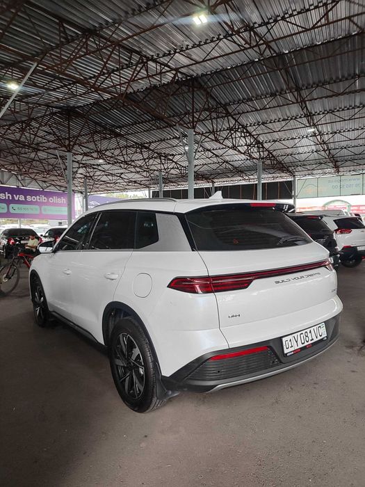 BYD Song Pro DM-i Champion 2024 — 2