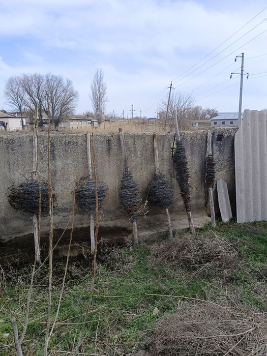 Колючки сым темір, Ағаш, пластмас труба