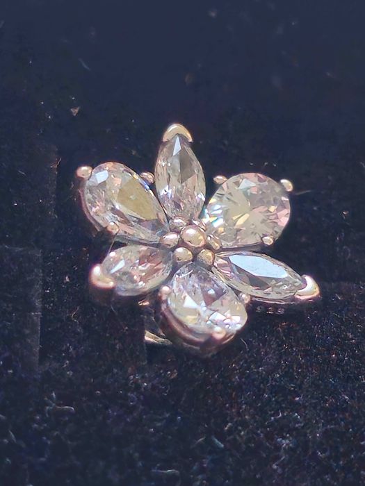 Сребърни обеци - цвете Pandora