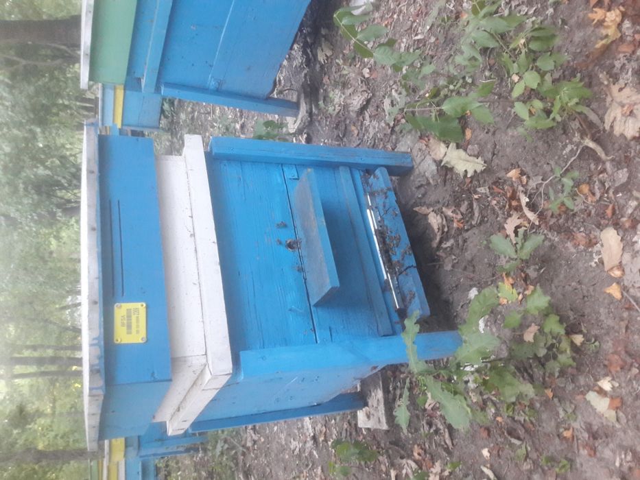 Военни сандъци кошер