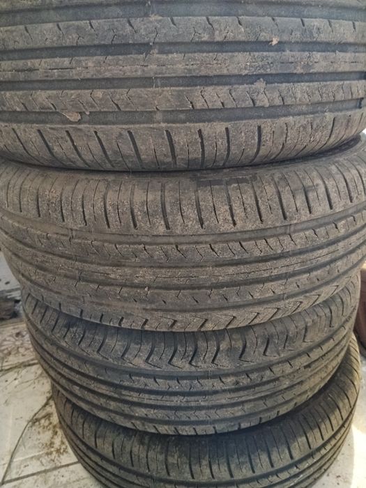 Жаздық шыйналар.