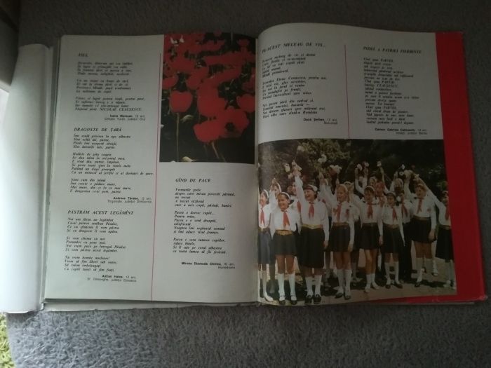 Omagiul dragostei nemarginite, pionieri, Ceausescu, comunism, colectie