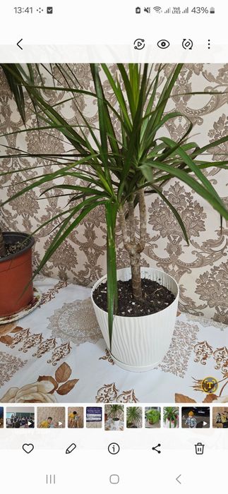 По 3тыс. тенге, продам