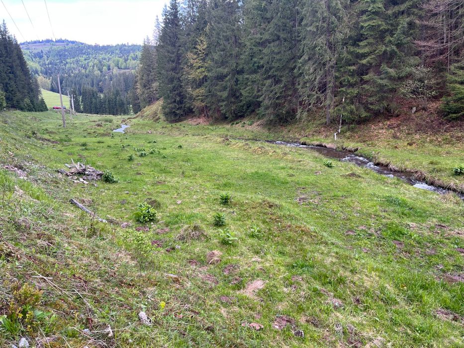 Teren intravilan Arieseni - 1250 mp - lângă drum asfaltat