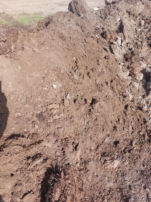 Mranita,pamint vegetal,negru și pamint nisipos