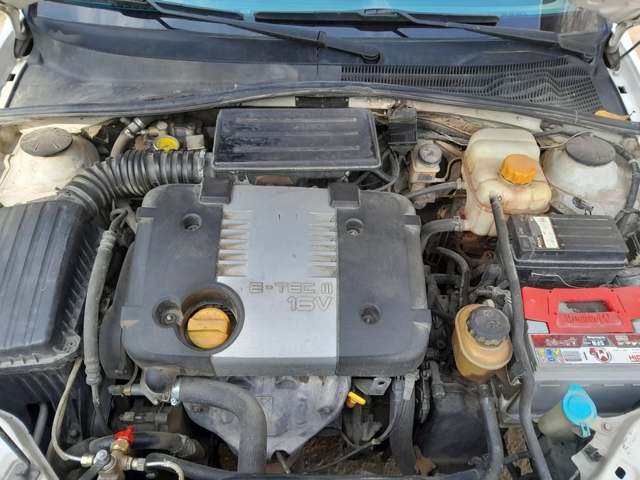 Lassit mator moy yiydi