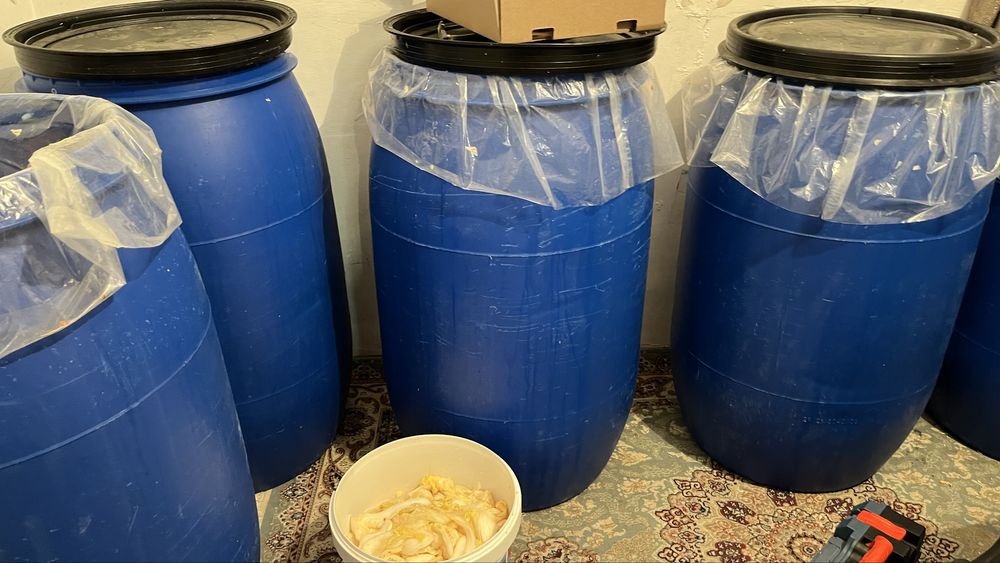 Солоная капуста, свежее