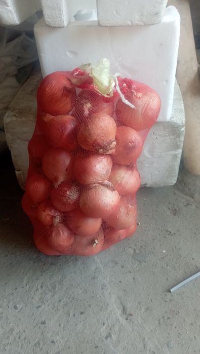 Пиез рузгор учун