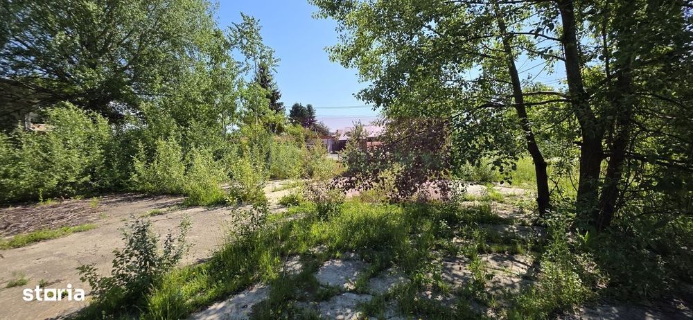 Teren intravila 40.679 mp in Campina, dezvoltare imobiliara