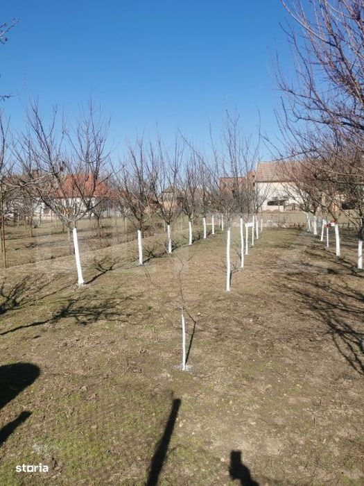 Casa de vanzare, 6 camere, 535 mp, zona Varias