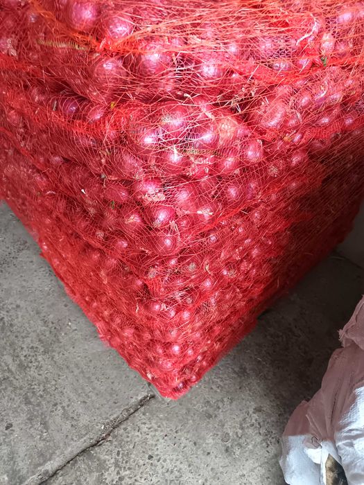Ceapă roșie la plasă 10 kg și 5kg