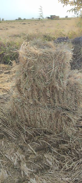 Продаются тюки рисовой соломы