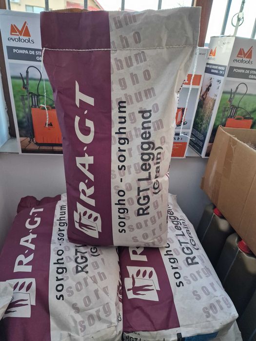 Sămânță Sorg RAGT LEGGEND - 300 Mk - 400 lei
