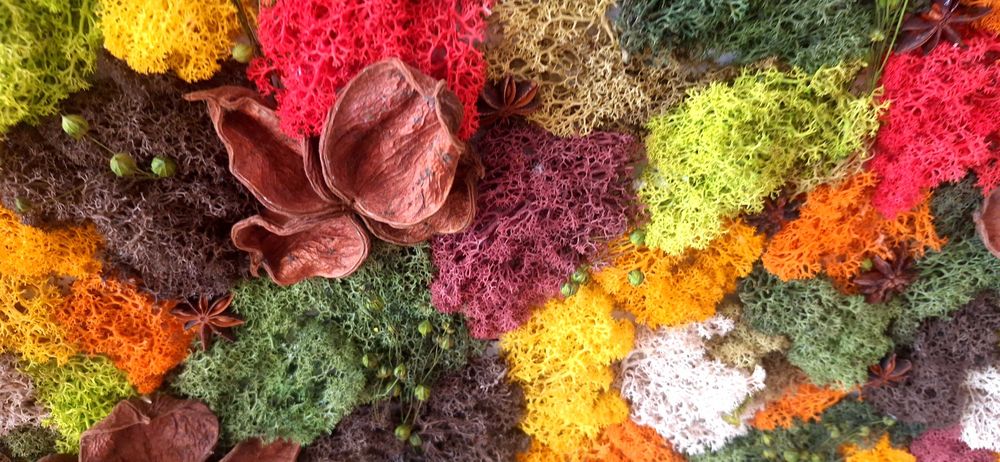 Декорация за дома - картинно есенно пано от естествени материали