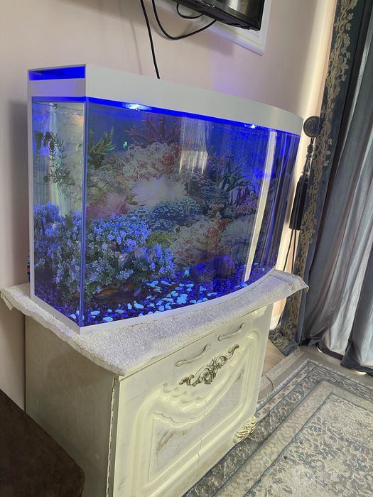 Akvarium sotiladi !!!