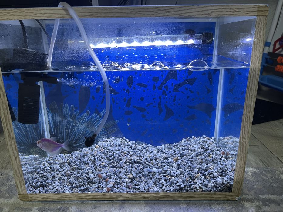 Продам аквариум 25л дешево